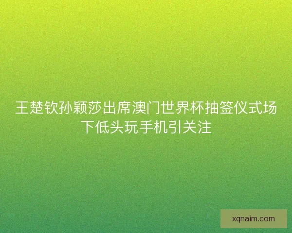 王楚钦孙颖莎出席澳门世界杯抽签仪式场下低头玩手机引关注 王楚钦孙颖莎出席澳门世界杯抽签仪式场下低头玩手机引关注